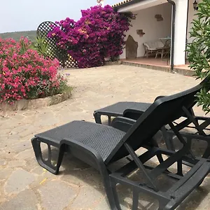 https://monolocale-punta-nera-u-cuppu.in-sardinia.net